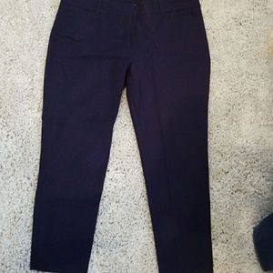 New york and company audrey pant